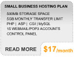 More Info on Business Hosting Plan