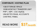 More Info on Corporate Hosting Plan